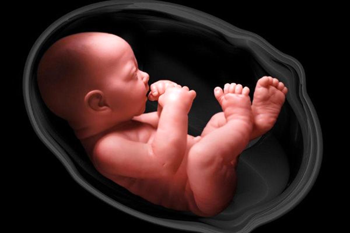 قلب جنین در چند هفتگی میزند؟