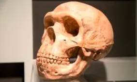 آیا اسکلت کودک نئاندرتال پرده از رازی بزرگ برمی‌دارد؟