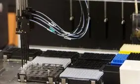 ده‌ها هزار فایل سوابق کیفری پلیس بریتانیا، پاک و صدور ویزا تعلیق شد 