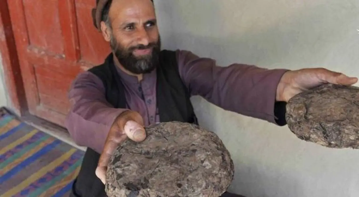 روستایی که بزرگترین مرکز تولید مواد مخدر جهان است! / ویدئو