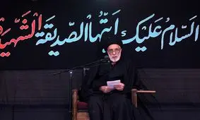 سیدهادی خامنه ای: قوانین ما به طور کامل از حقوق زن دفاع نمی کند