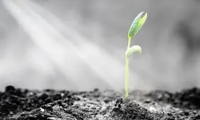 چگونه حس امیدواری را در خود پرورش دهیم؟