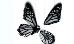 تجاوز داماد تهرانی به دختر نوجوان/ رومینا خودکشی کرد