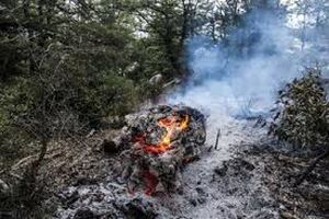 معمای آتش زمستانی در جنگل‌های صعب‌العبور مازندران