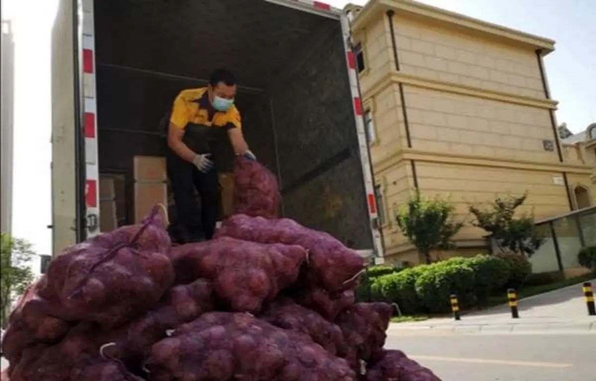 انتقام دختر جوان از نامزدش با ۱,۰۰۰ کیلو پیاز تند