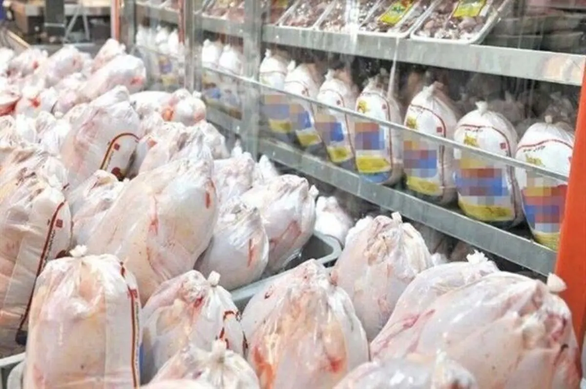 مرغ دوباره در مسیر افزایشی افتاد