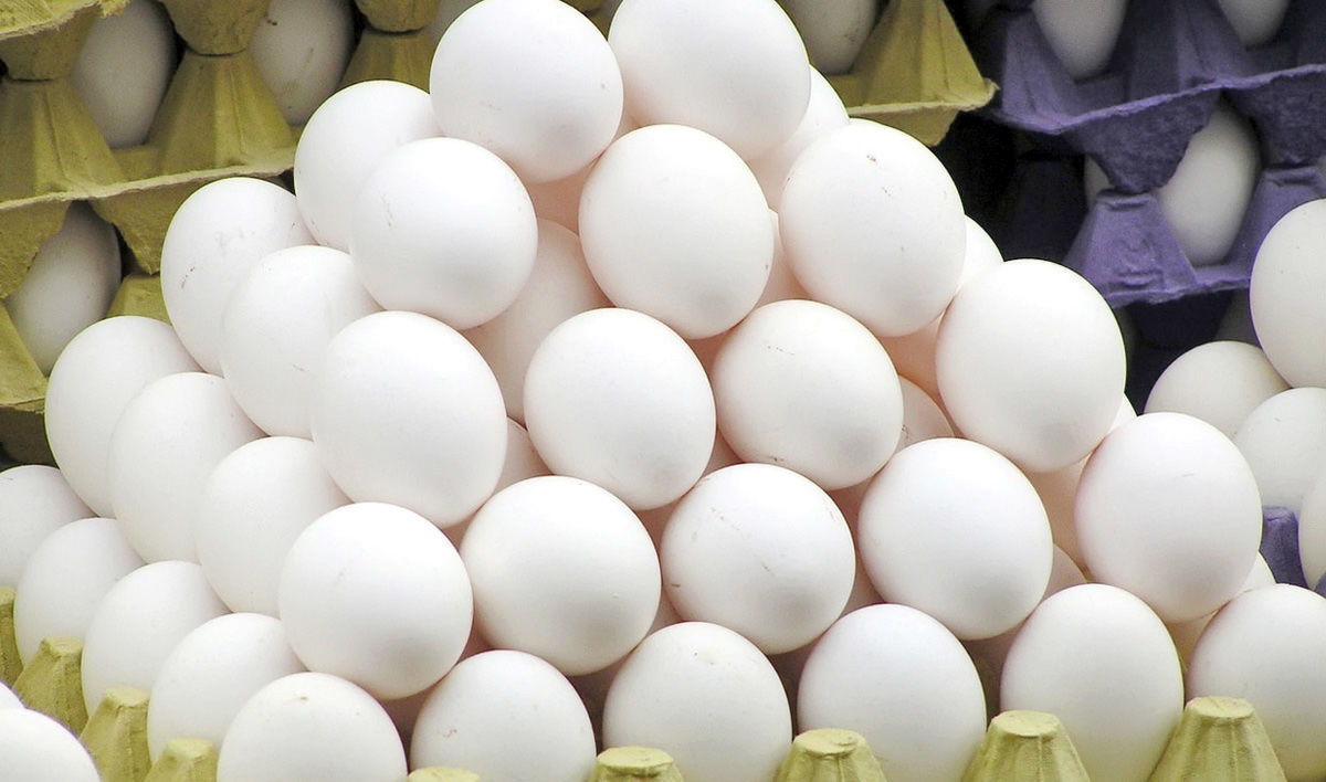 عرضه تخم مرغ با قیمت شانه ای ٣۵ هزار تومان در زاهدان