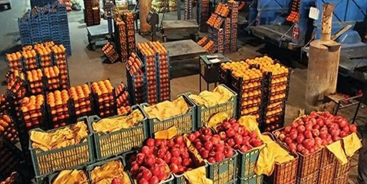 آشفتگی بازار میوه ‌و تره بار در نبود کمیته قانونی نرخ‌گذاری