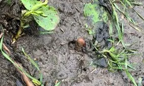 صحنه ای که زن جوان را دچار وحشت کرد