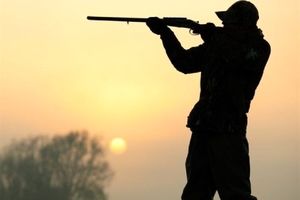 ۳۶ شکارچی غیر مجاز در اردستان دستگیر شدند