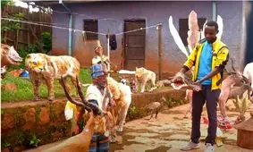 خلاقیت بی‌نظیر جوان آفریقایی در ساخت مجسمه از کاغذ/ تصاویر