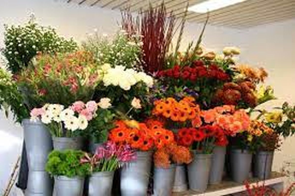 افزایش تقاضا برای خرید "گل" در آستانه روز مادر