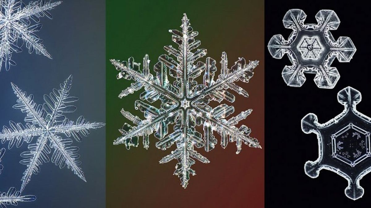 ثبت با کیفیت‌ترین تصاویر از دانه‌های برف توسط مدیر اسبق مایکروسافت