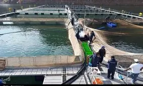 لرستان رتبه نخست تولید بچه ماهی را در کشور دارد