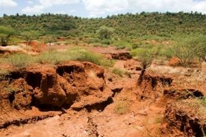 فرسایش خاک در استان مرکزی سالانه چهار تن در هکتار در کاهش یافت