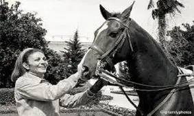 سرنوشت اسبی که به «فرح» سواری نداد