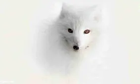 برندگان مسابقه عکاسی سفر در سال ۲۰۲۰/ تصاویر‌