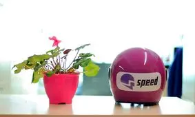 جشنواره اسپید آغاز شد