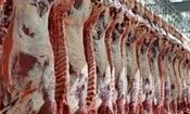 کمبود تقاضا بازار گوشت قرمز را کساد کرده است