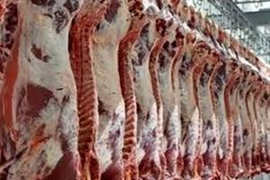 کمبود تقاضا بازار گوشت قرمز را کساد کرده است