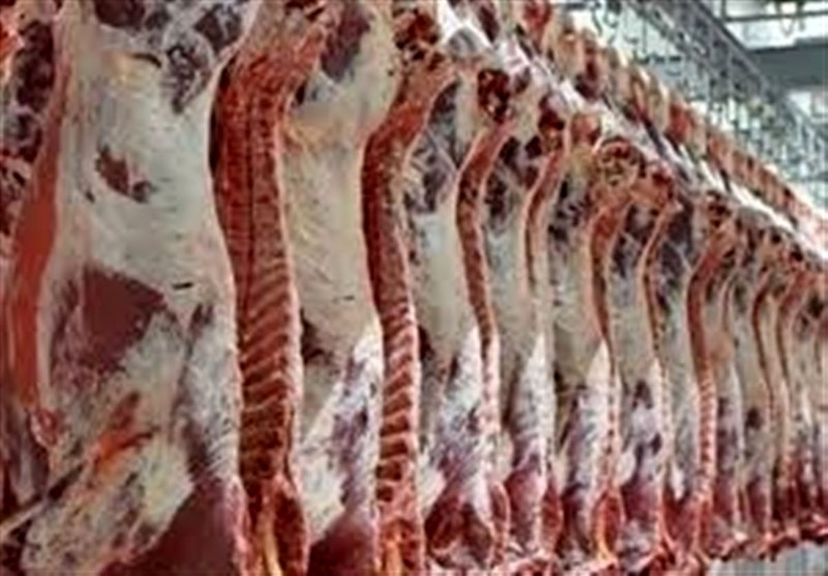 کمبود تقاضا بازار گوشت قرمز را کساد کرده است