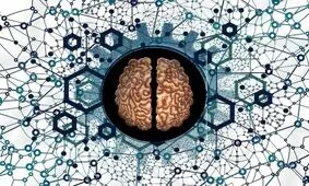 تأثیر سن نیمکره چپ و راست مغز بر بیماری آلزایمر