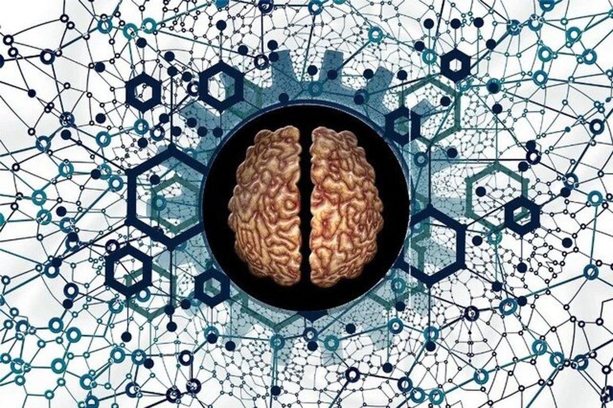 تأثیر سن نیمکره چپ و راست مغز بر بیماری آلزایمر