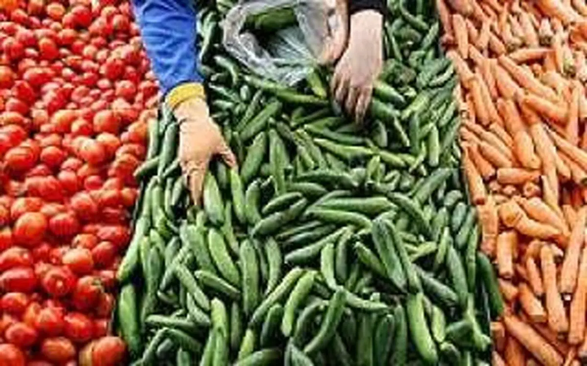 علت گرانی خیار چیست؟/ یک مقام مسئول: دو هفته صبر کنید، ارزان می شود