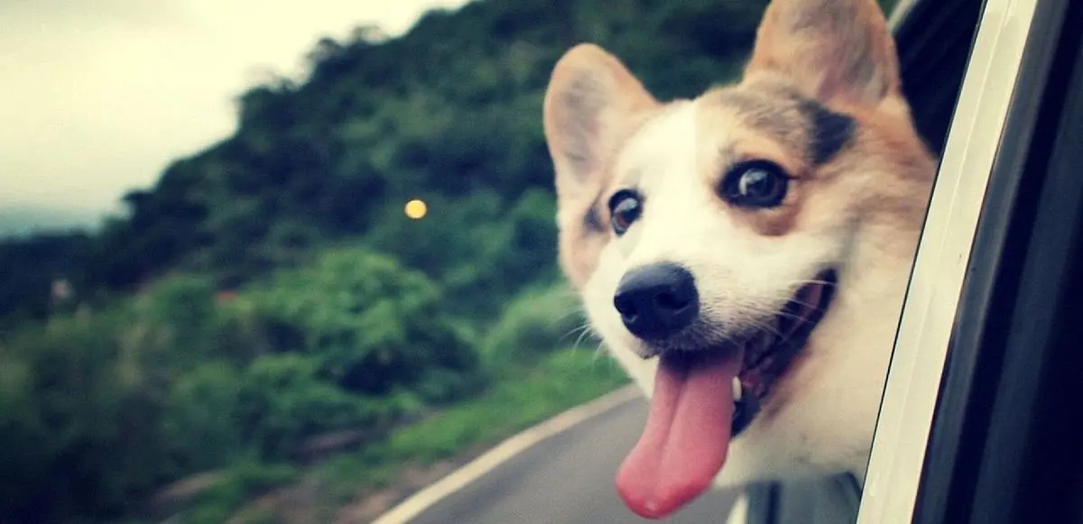 تست روانشناسی برای افشای کدهای مخفی در شخصیت شما