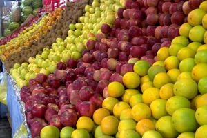 خرید ۸۰۰ تن میوه برای روزهای پایانی سال و نوروز ۱۴۰۰ در خراسان جنوبی
