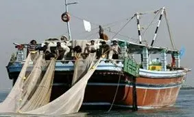 صید ماهی از خلیج فارس برای حفظ ذخایر آبی ممنوع شد