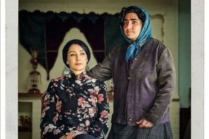 رکوردداران بیشترین نامزدی سیمرغ در جشنواره فیلم فجر را بشناسید