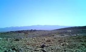 بلای گردشگری ناهمسو بر سر پناهگاه حیات وحش یخاب اصفهان