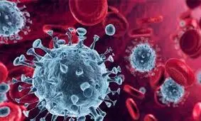 ۶۵ درصد علت اصلی ابتلا به کرونا در همدان ارتباطات خانوادگی است