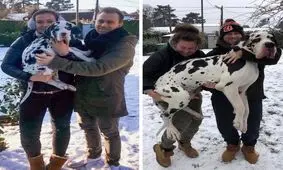 عکس‌هایی که نشان می‌دهند اندازه‌ها نسبی هستند