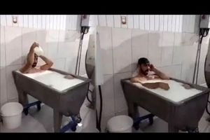 حمام کردن کارگر شرکت لبنیاتی در وان شیر/ ویدئو