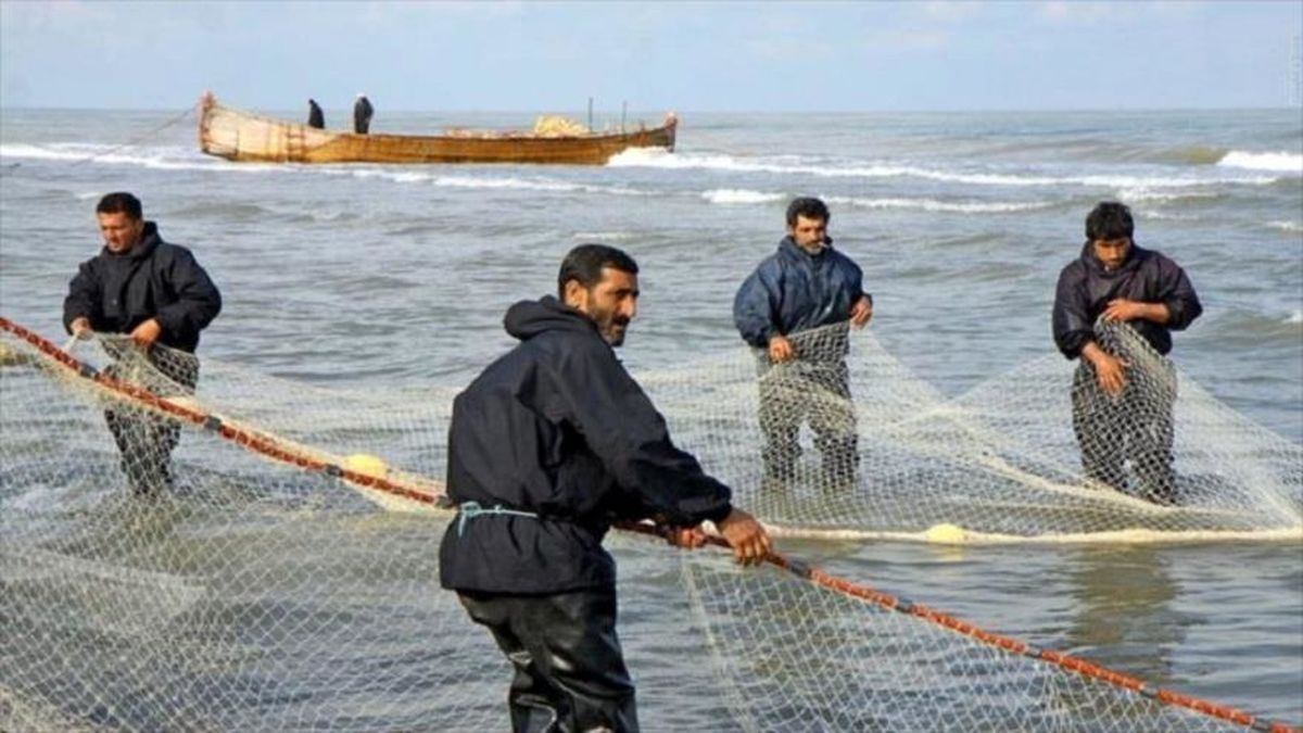 رونق سفره های صیادان گیلانی با گسترش آبزی پروری