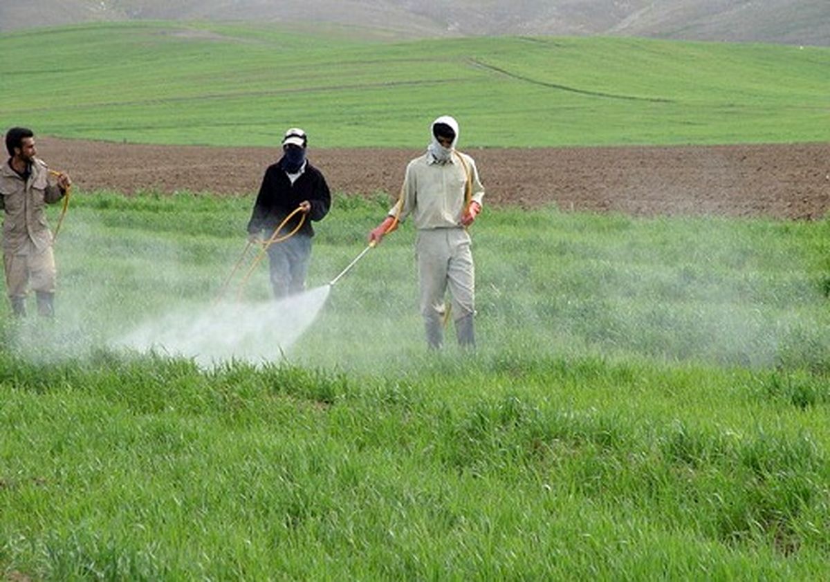 ۴۰هزار هکتار مرتع در کهگیلویه و بویراحمد برای شناسایی آفت ملخ پایش شد