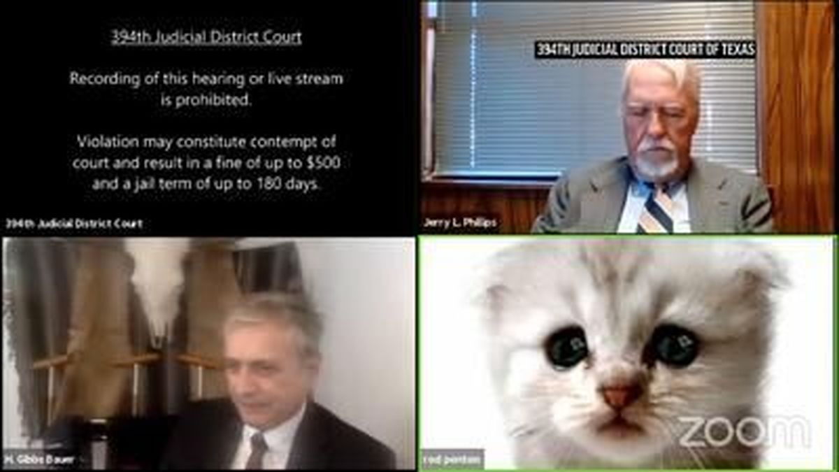 وکیل در جلسه آنلاین دادگاه به شکل گربه ظاهر شد!/ ویدئو