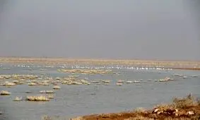 زیستگاه‌های آبی استان قزوین پایش شد