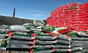 توزیع کود اوره در منطقه کشاورزی جنوب کرمان ۳۵ درصد افزایش یافت