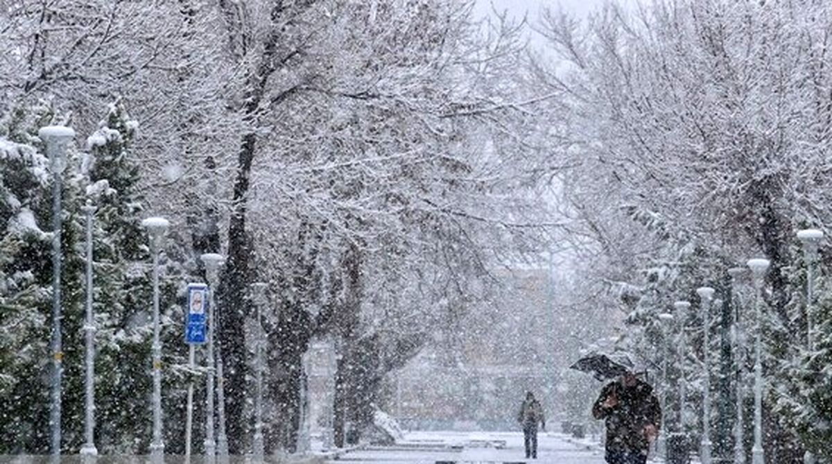 بارش برف در شمال و شمالغرب استان کرمان