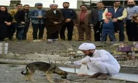 حرف‌هاى شنيدنى طلبه كميل نظافتى درباره حيوان آزارى / رسوایتان مي‌كنم!