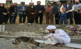 حرف‌هاى شنيدنى طلبه كميل نظافتى درباره حيوان آزارى / رسوایتان مي‌كنم!