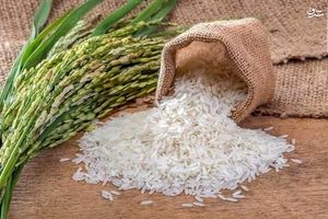 عامل گرانی برنج خارجی در کشور چیست؟ / از آذر ماه تا به حال هیچ برنجی وارد نشده است