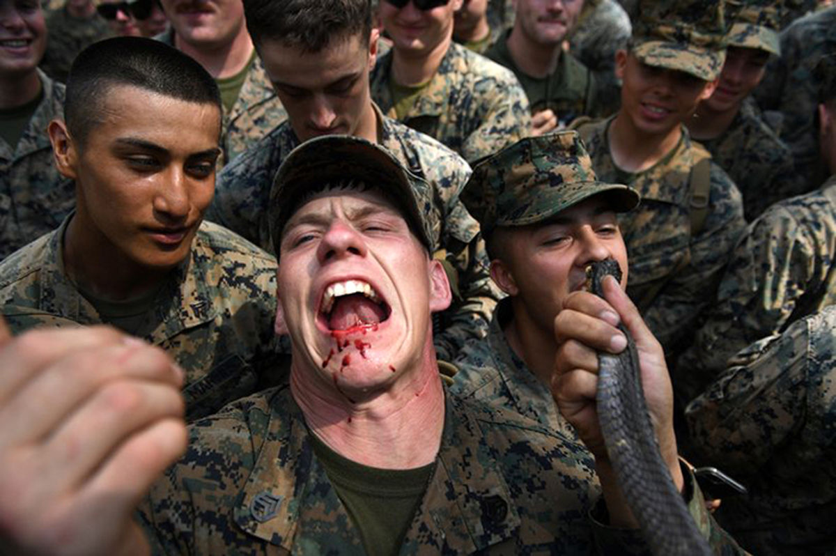 از خوردن مار تا نوشیدن خون؛ تمرینات نظامی آمریکا که خبرساز شده‌اند