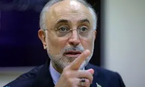 علی اکبر صالحی: در چارچوب تعیین شده از سوی مسئولان ارشد حرکت کردیم