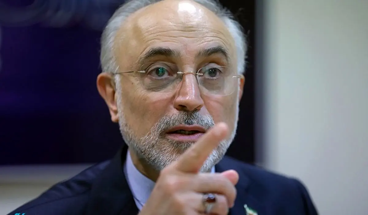 علی اکبر صالحی: در چارچوب تعیین شده از سوی مسئولان ارشد حرکت کردیم