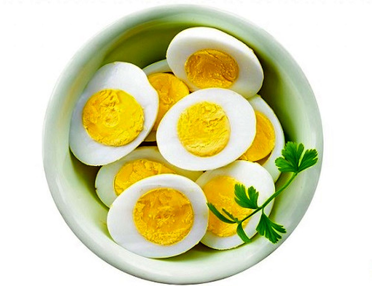 آیا هر روز تخم مرغ خوردن خطرناک است؟
