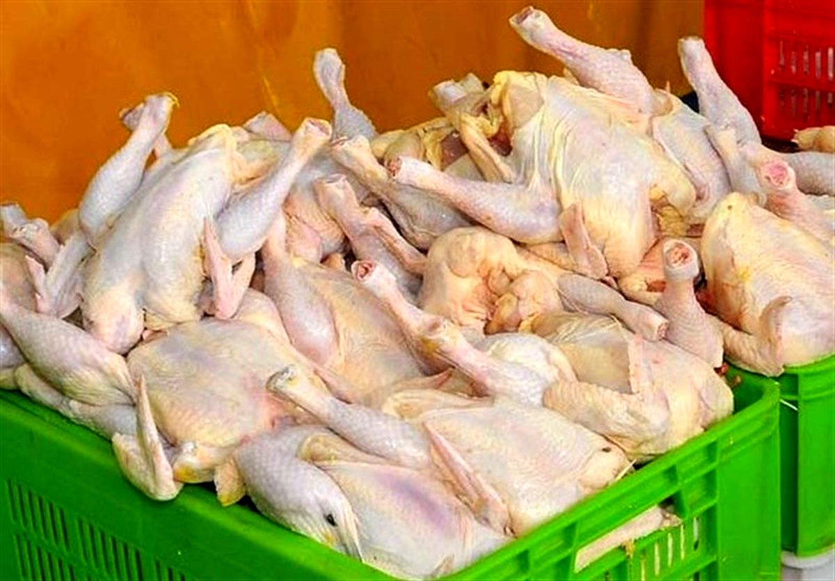 روزانه ۳۵۰ تن گوشت مرغ در خوزستان تولید میشود